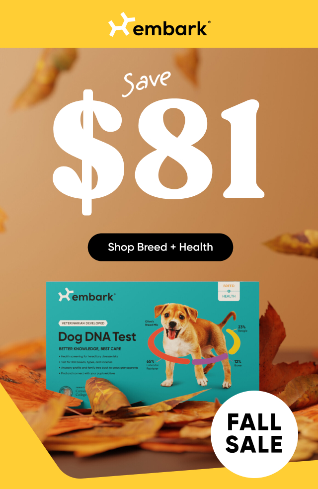 Save $81 on our Breed + Health Test