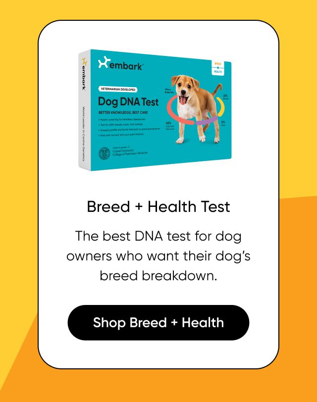 Shop Breed + Health