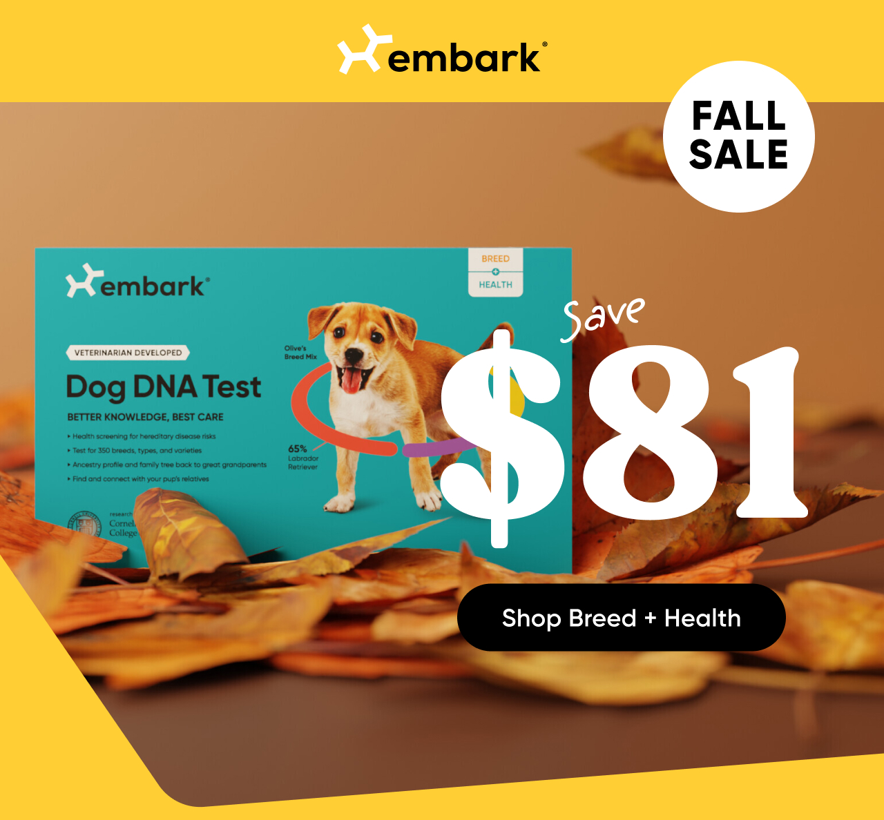 Save $81 on our Breed + Health Test