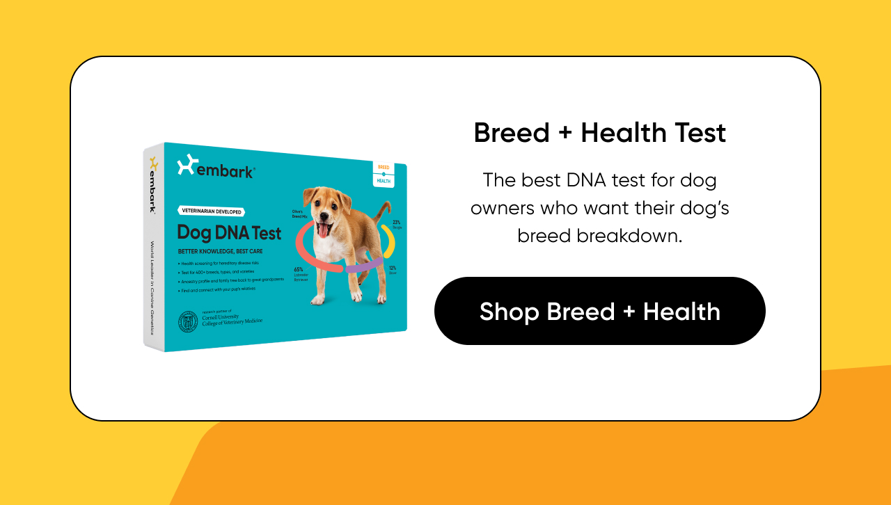 Shop Breed + Health Test