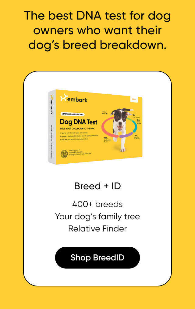 Shop Breed ID Test