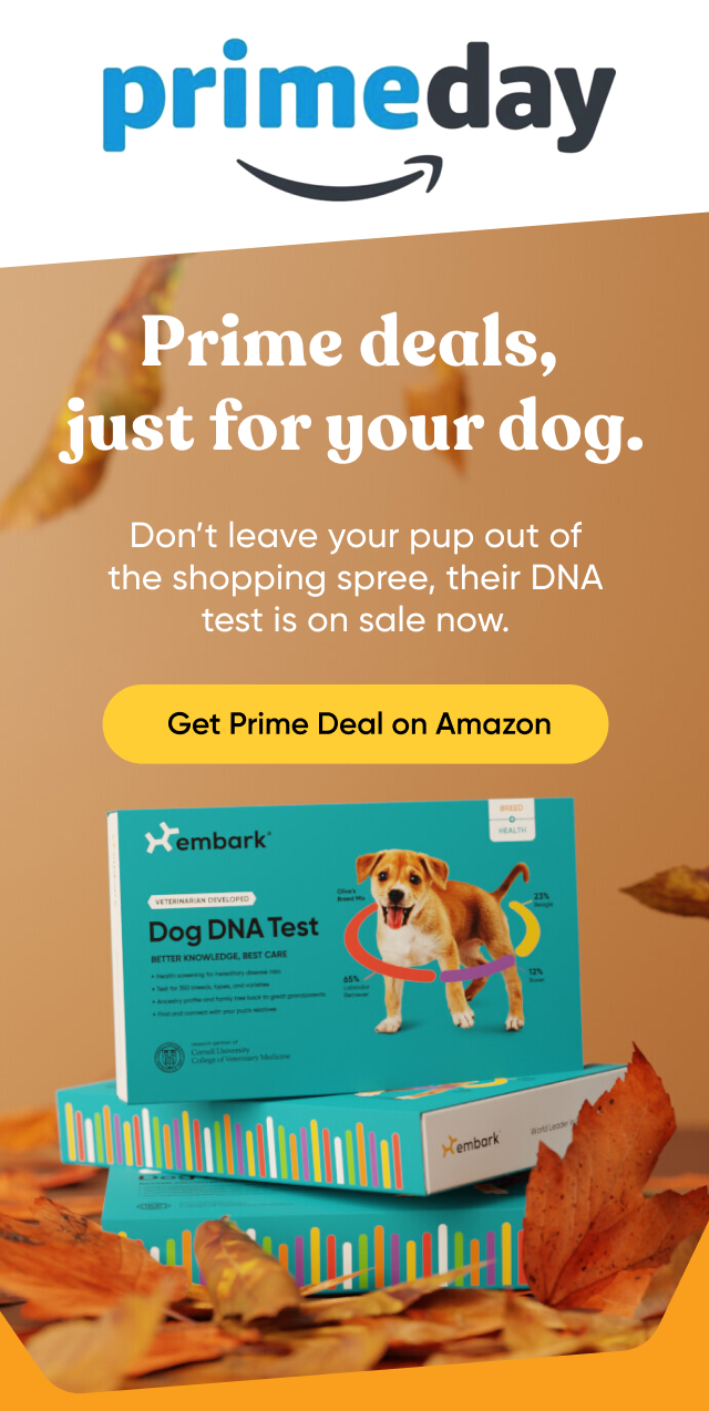 Get Prime deal on Amazon