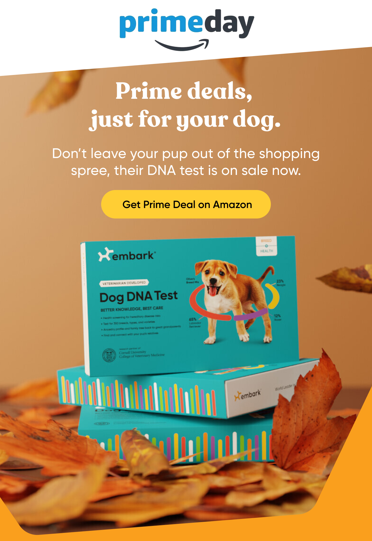 Get Prime deal on Amazon