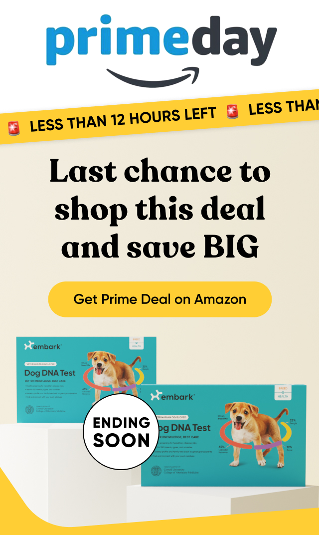 Get Prime deal on Amazon