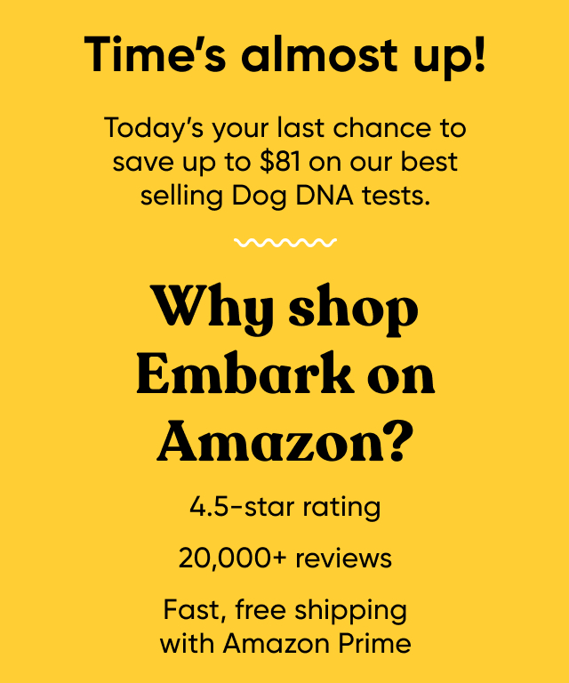 Get Prime deal on Amazon