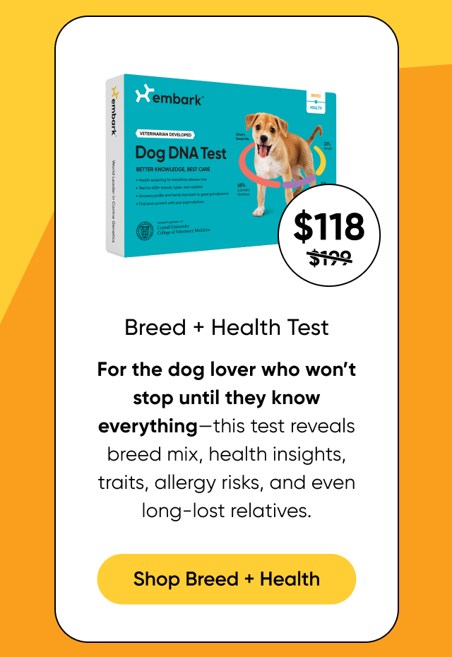 Shop Breed + Health Test on Amazon