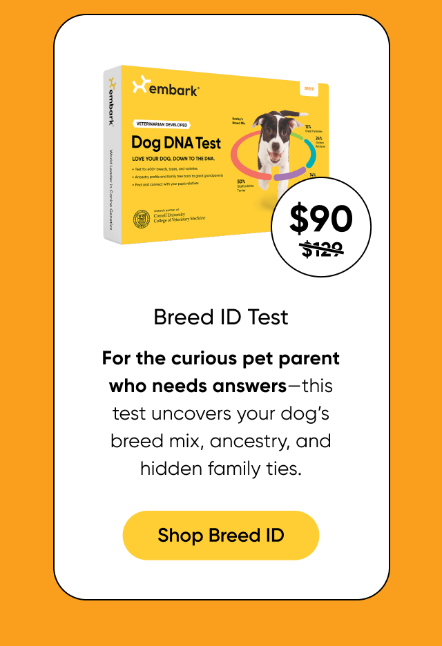 Shop Breed ID Test on Amazon