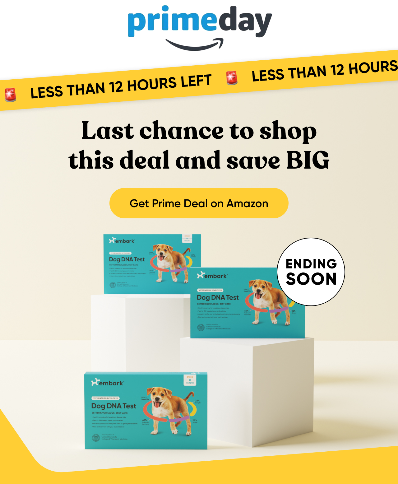 Get Prime deal on Amazon