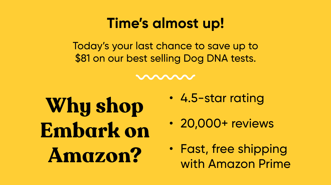 Get Prime deal on Amazon