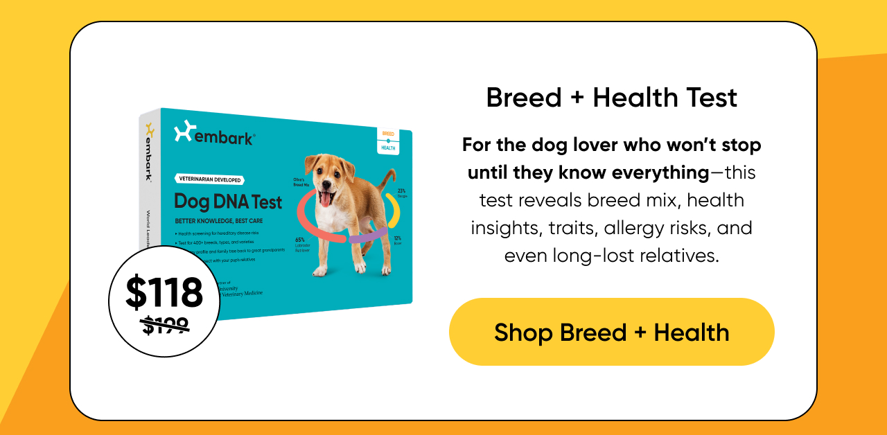 Shop Breed + Health Test on Amazon