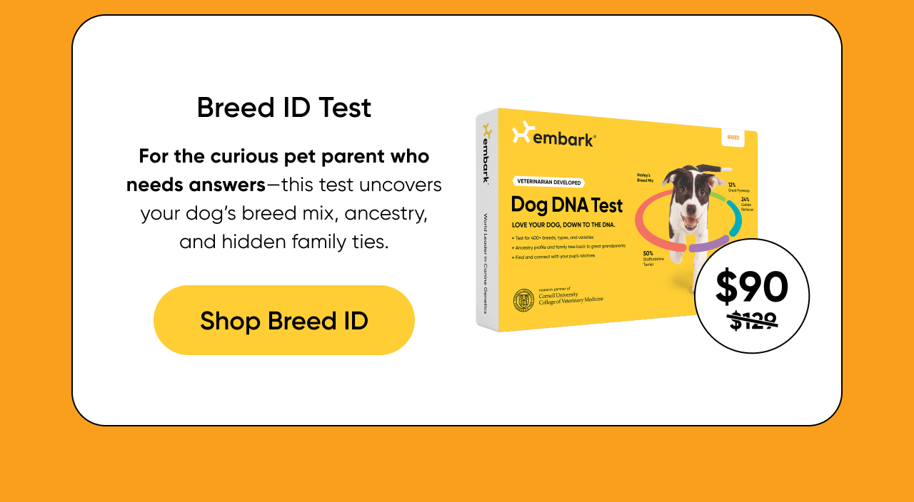 Shop Breed ID Test on Amazon