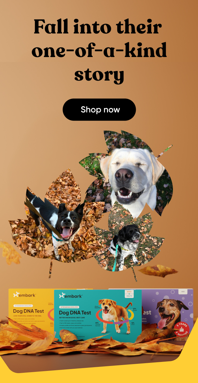 Shop Fall Sale