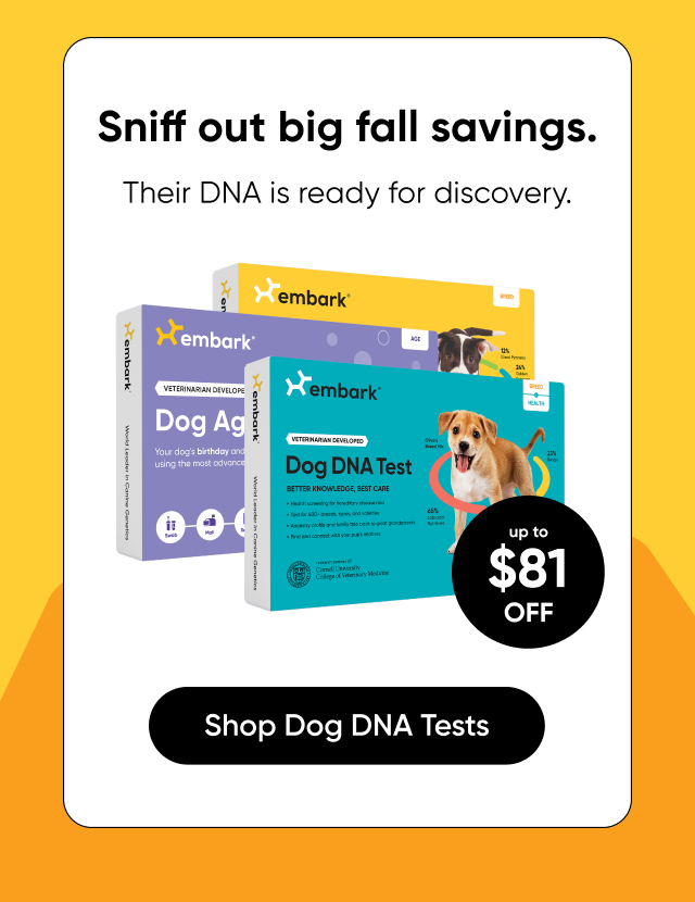 Shop Dog DNA Tests