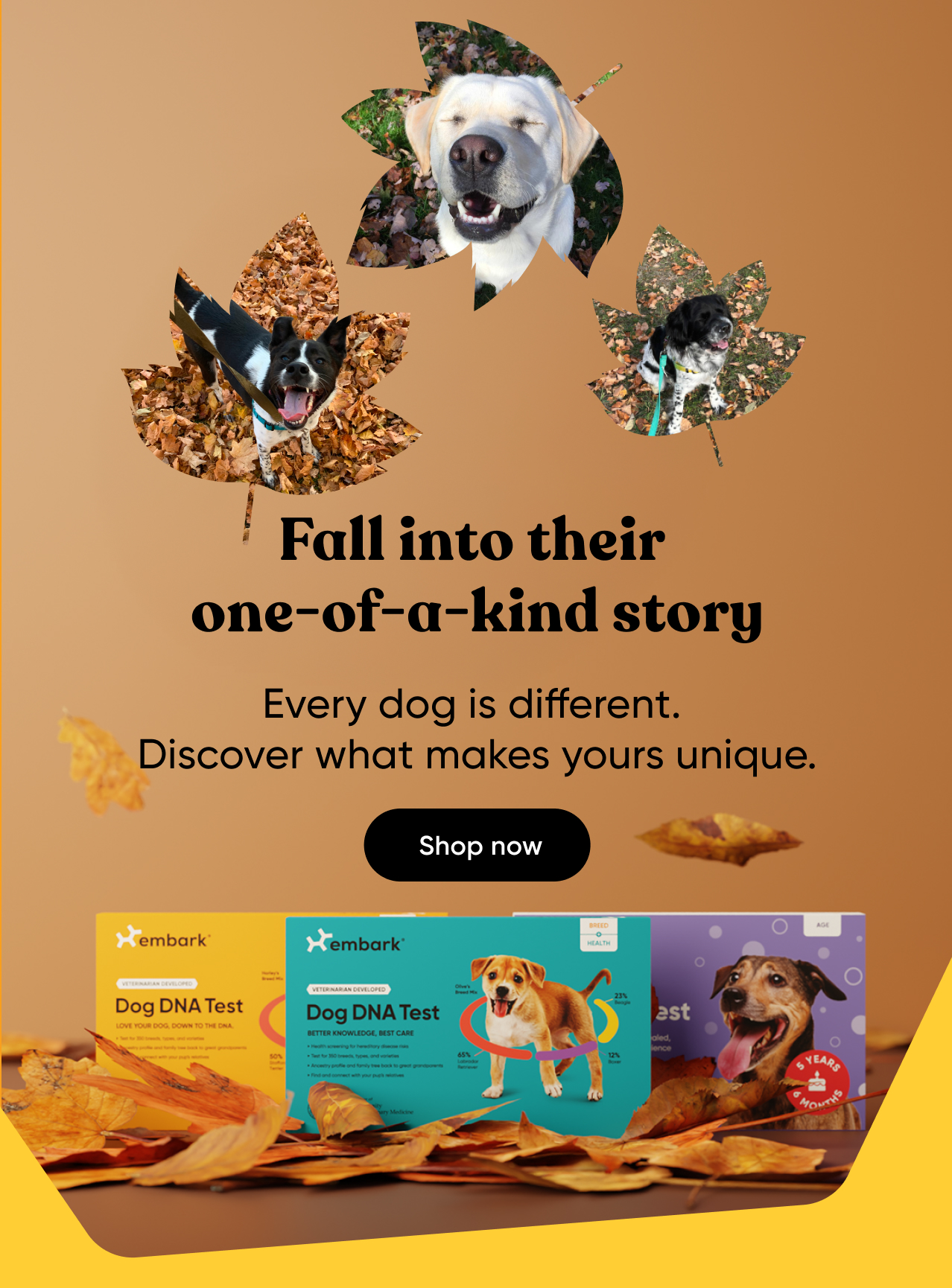 Shop Fall Sale