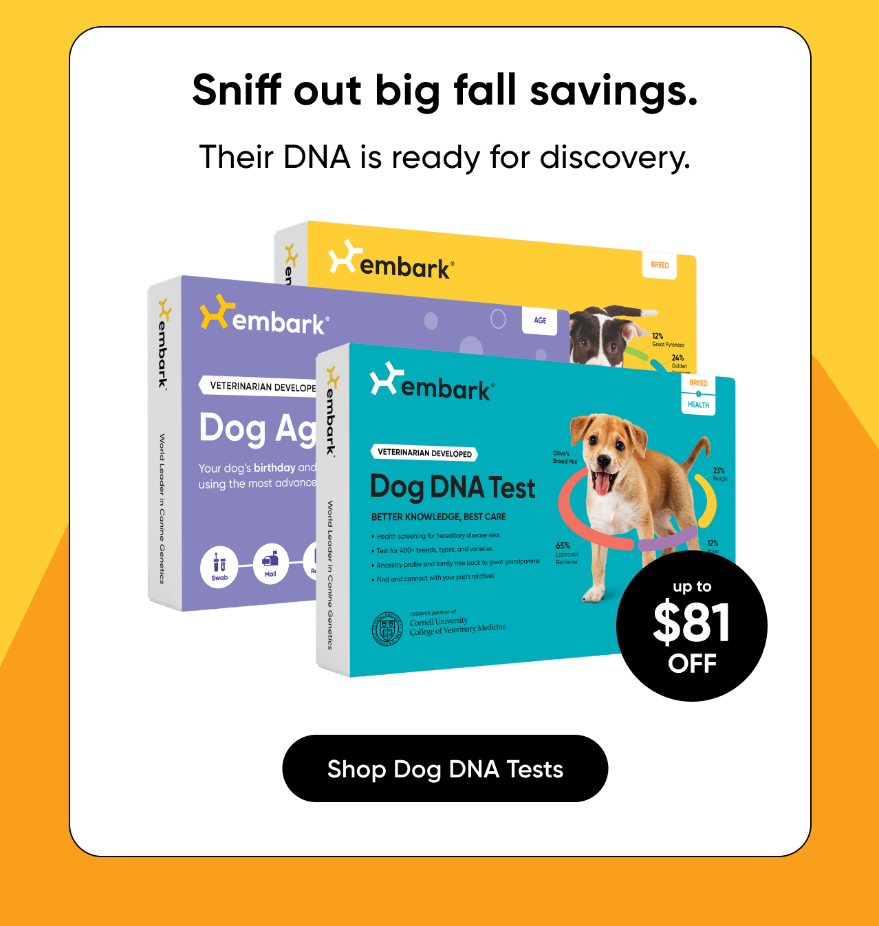 Shop Dog DNA Tests