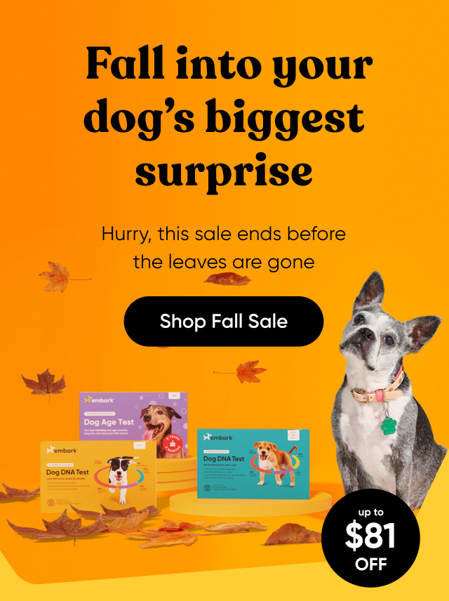 Shop Fall Sale