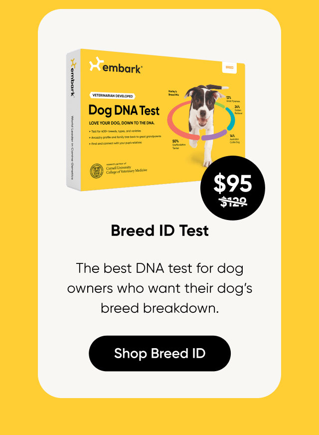 Shop Breed ID Test