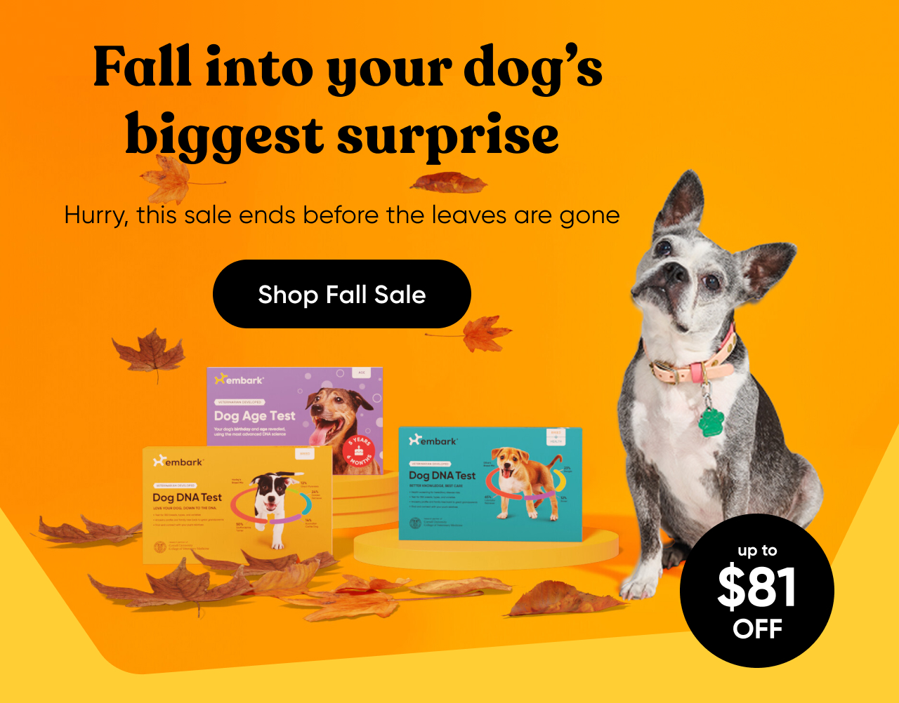 Shop Fall Sale
