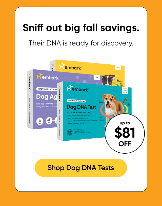 Shop Dog DNA Tests