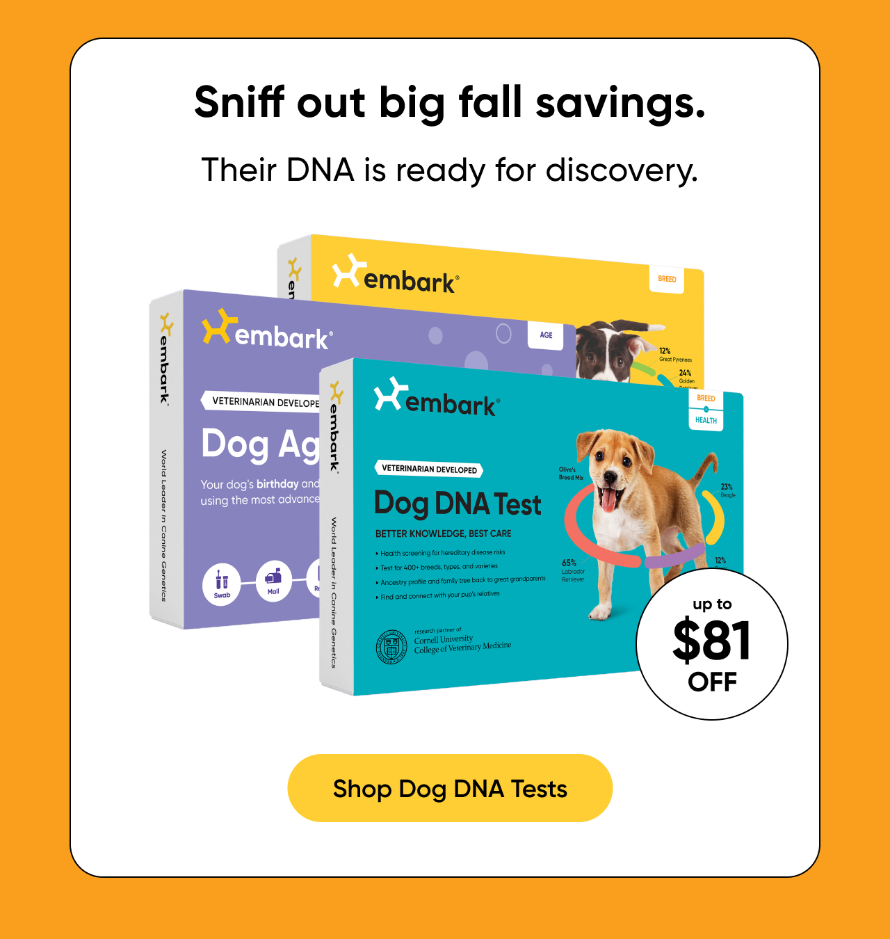 Shop Dog DNA Tests
