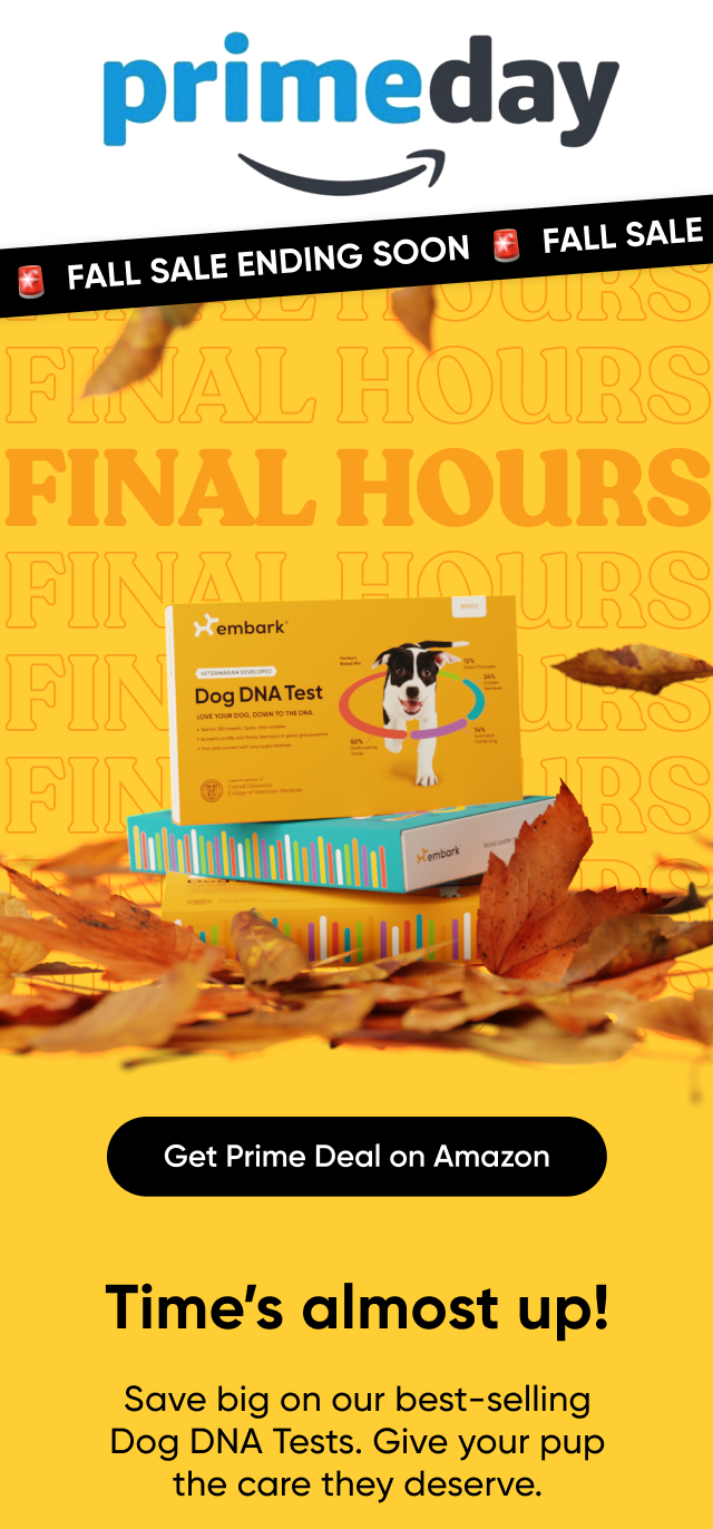 Get Prime deal on Amazon