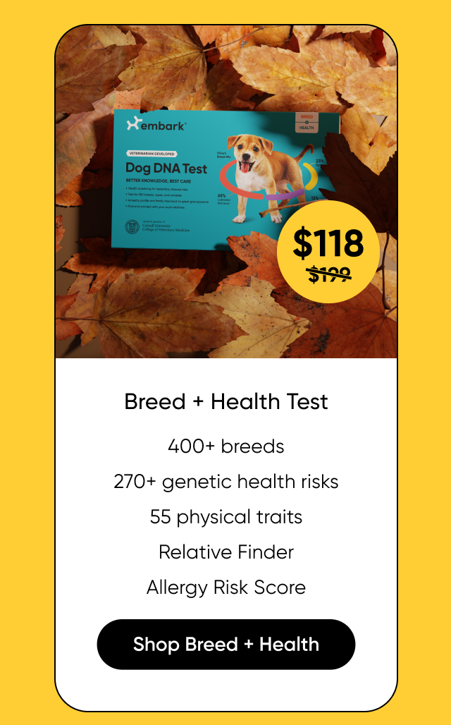 Shop Breed + Health Test on Amazon