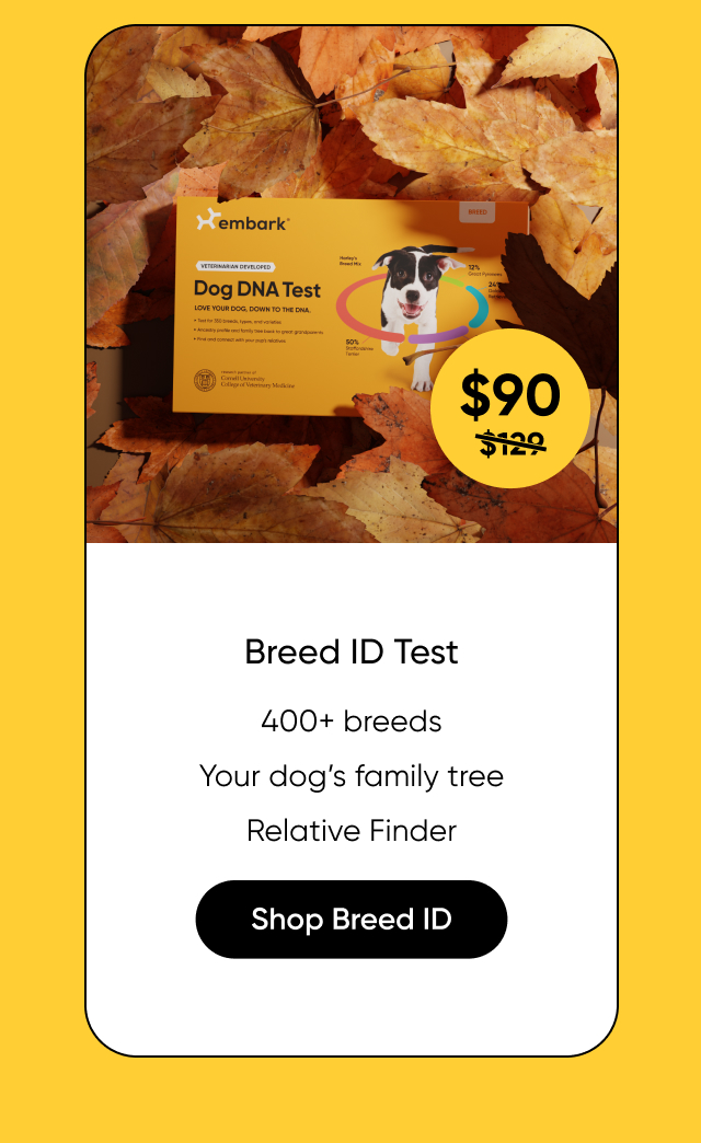 Shop Breed ID Test on Amazon
