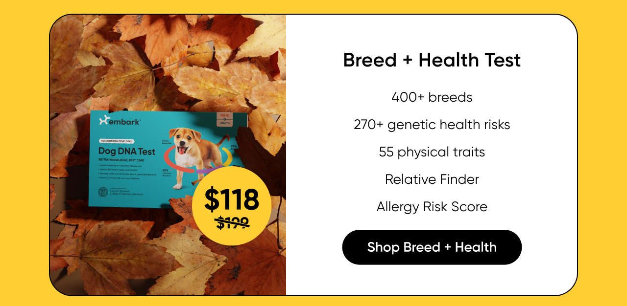 Shop Breed + Health Test on Amazon