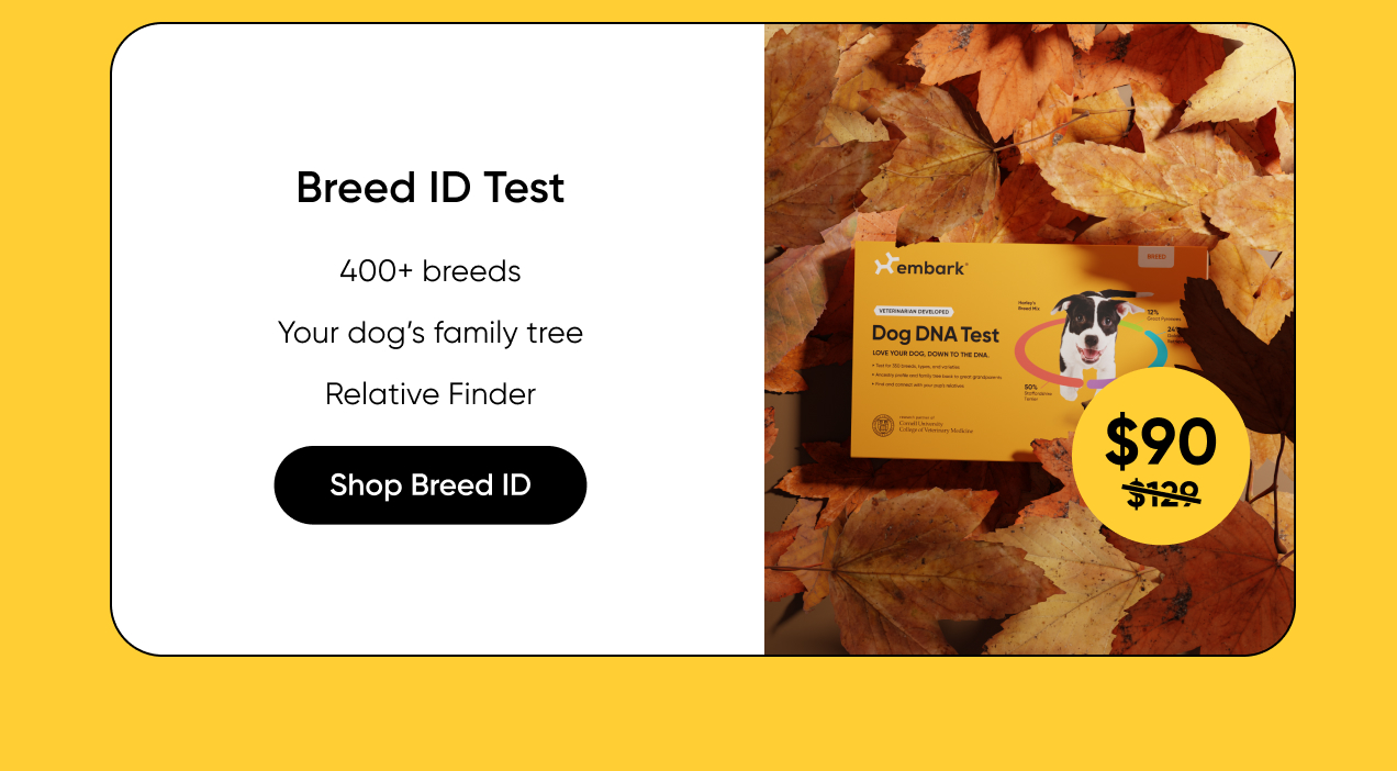 Shop Breed ID Test on Amazon