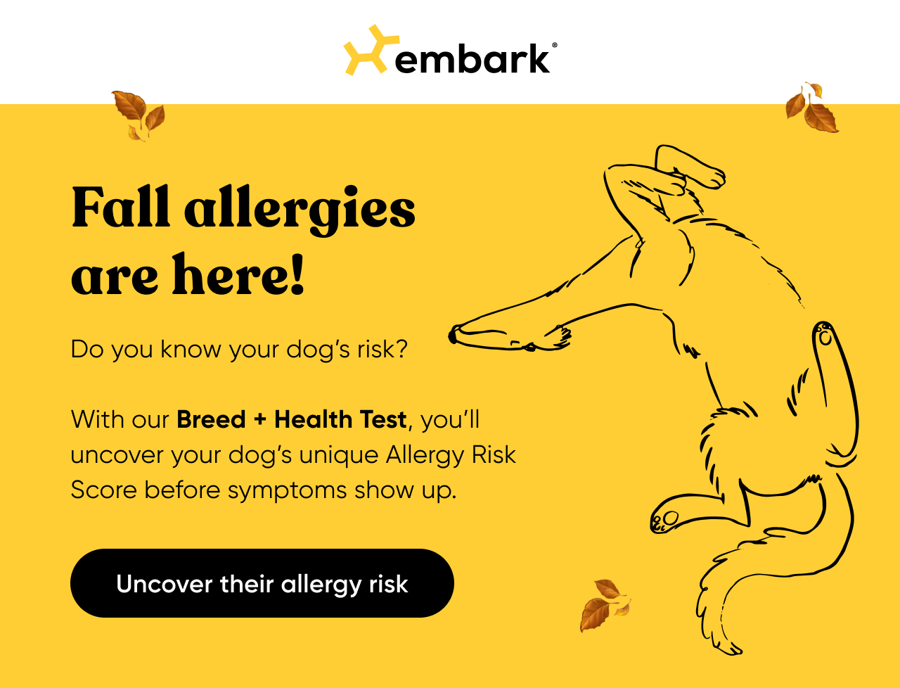 Uncover your dog's allergy risk
