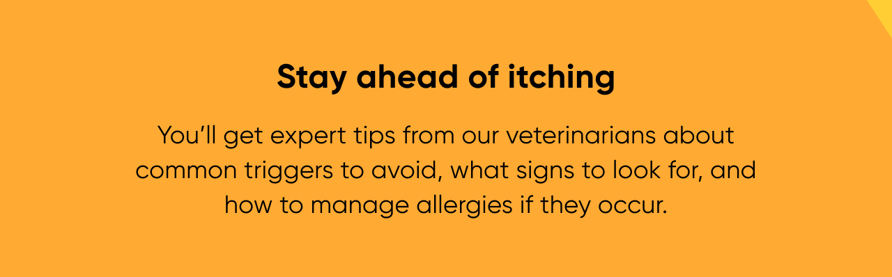 Stay ahead of itching