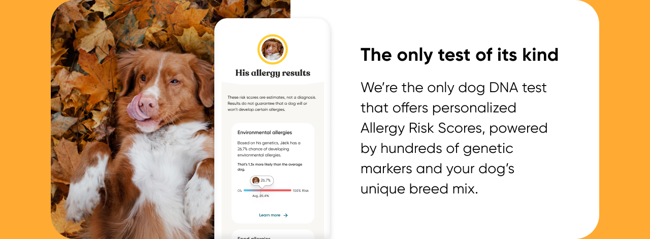 Embark is the only Dog DNA Test that offers personalized Allergy Risk Scores.