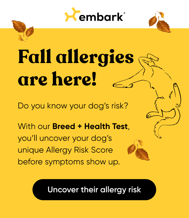 Uncover your dog's allergy risk