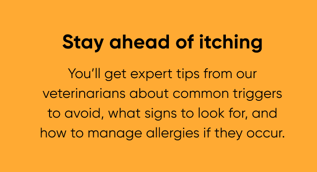 Stay ahead of itching