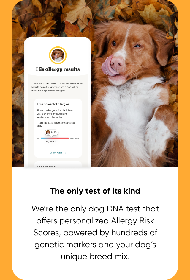 Embark is the only Dog DNA Test that offers personalized Allergy Risk Scores.