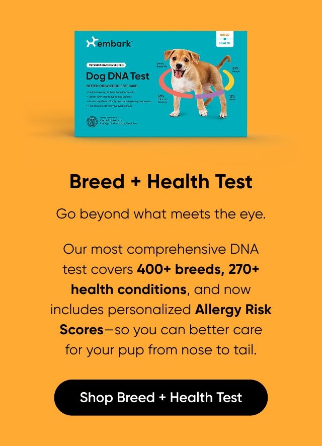 Shop Breed + Health Test