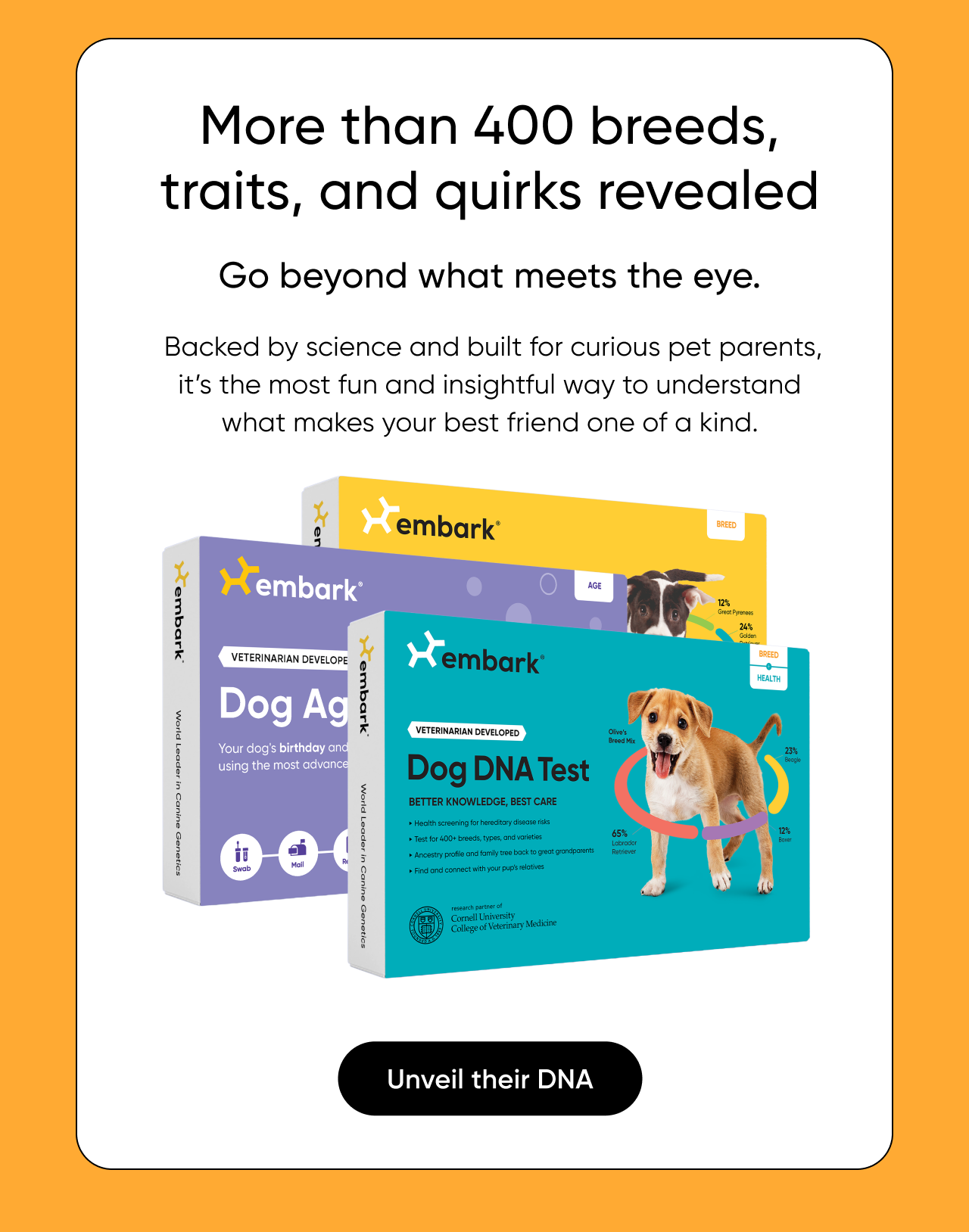 Unveil your dog's DNA