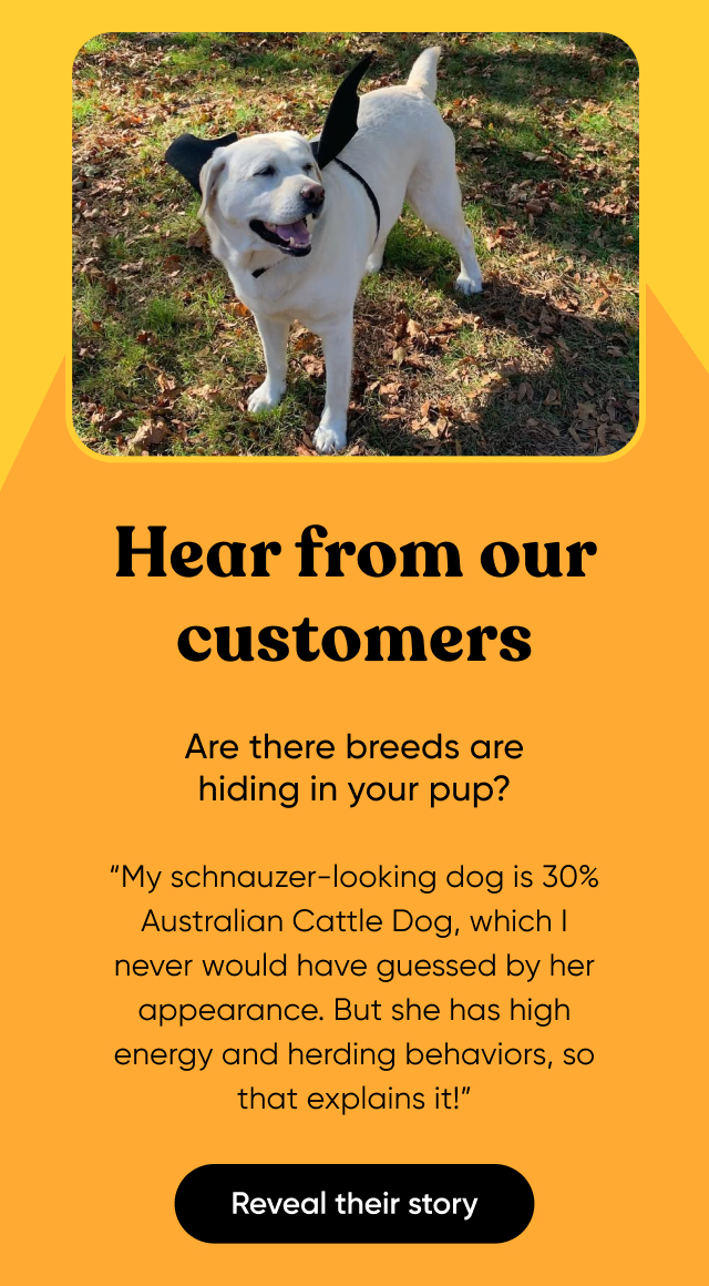 Reveal your dog's hidden story with a Dog DNA Test