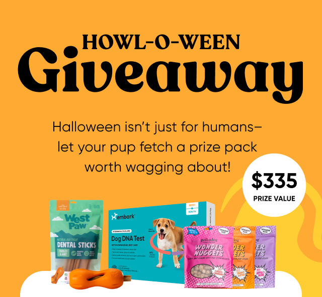 Treat your pup to a spooktacular mix of tricks & treats this Halloween.