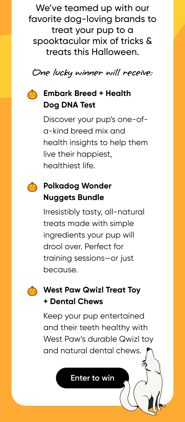 Treat your pup to a spooktacular mix of tricks & treats this Halloween.