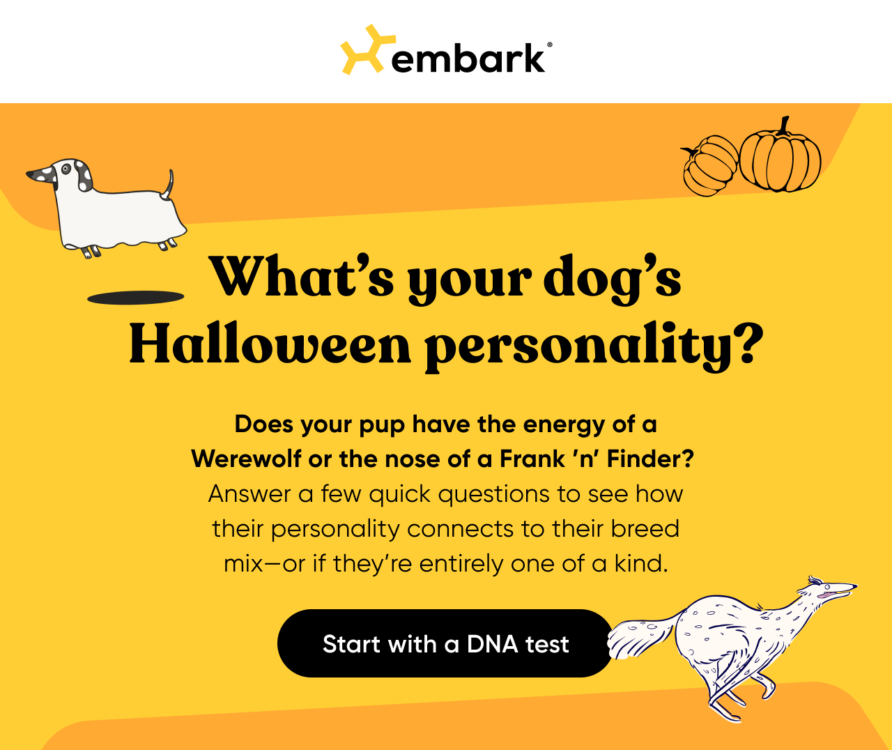 See how your dog's personality connects to their breed mix