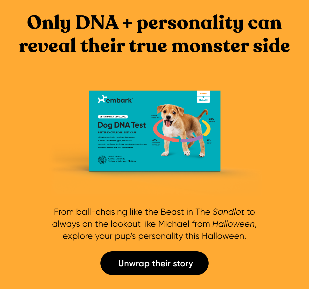 Unwrap your dog's story