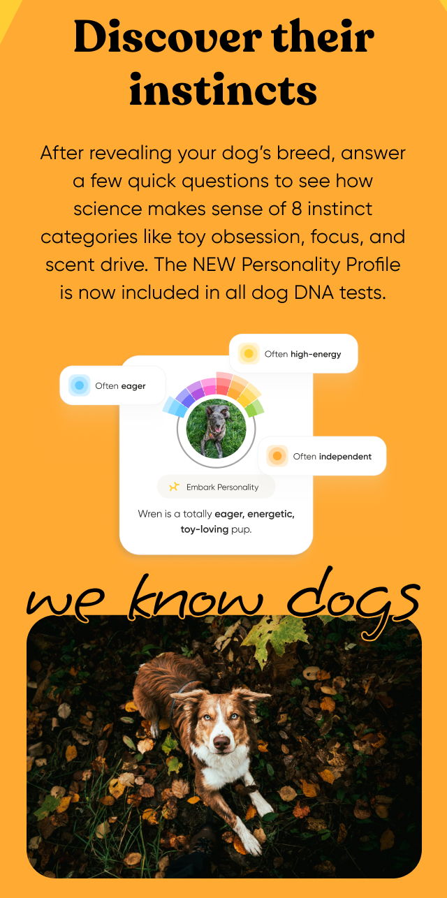 Discover their instincts