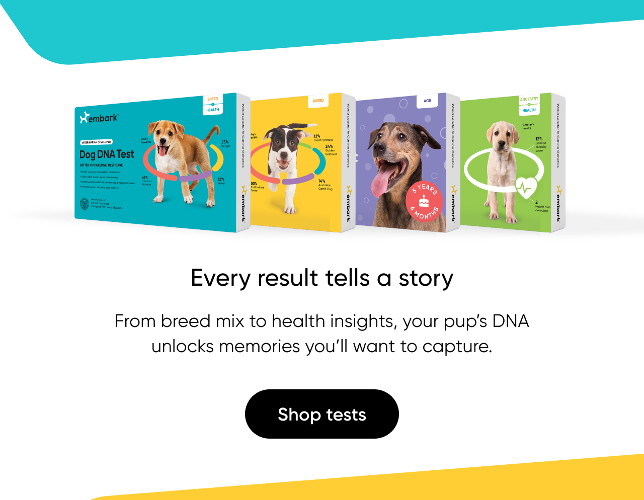 From breed mix to health insights, your pup's DNA unlocks memories you'll want to capture.