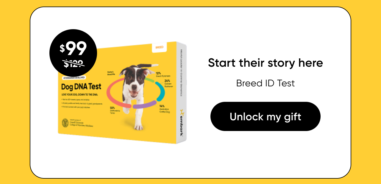 Shop Breed ID Test