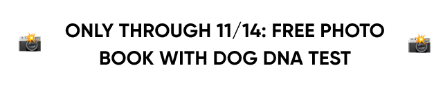 Only available through 11/14: Free Photo Book with Dog DNA Test