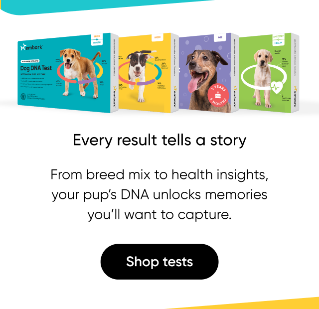 From breed mix to health insights, your pup's DNA unlocks memories you'll want to capture.