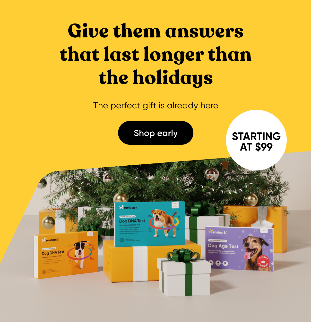 Shop early and give them answers that last longer than the holidays