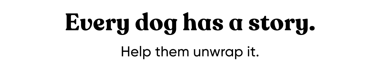 Every dog has a story. Help them unwrap it.