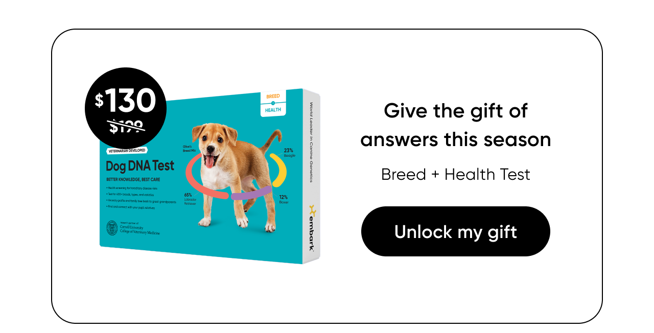 Shop Breed + Health Test